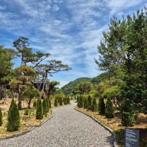 요즘 경기도 대형 카페 수준
