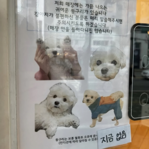 매장 내 강아지 논란