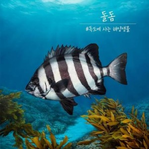 자연산 횟감 Best 논쟁
