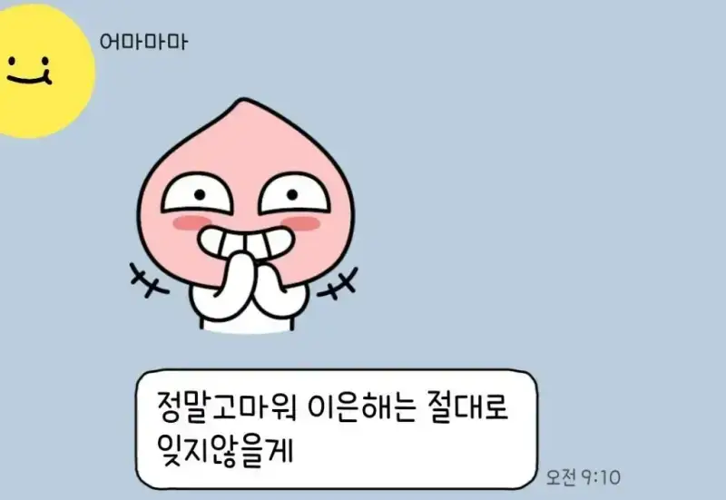 어머니 자동차세 대신 내줬는데