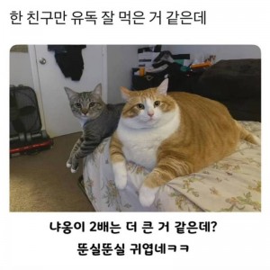 한 친구만 유독 잘먹은것 같다