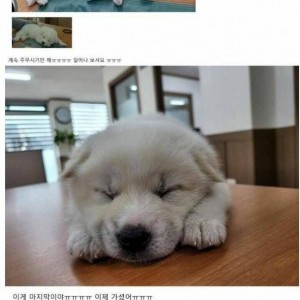 과장이 데려온 신입때문에 출근이 즐겁다는 직원