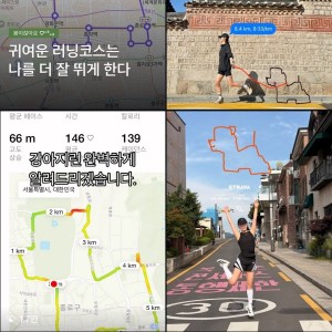 댕댕런 심각하긴 하네요