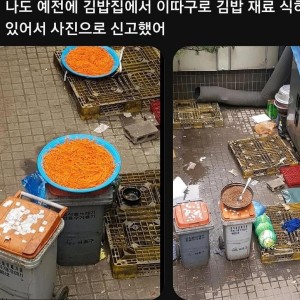 쓰레드 올라와 난리난 떡집 김밥집