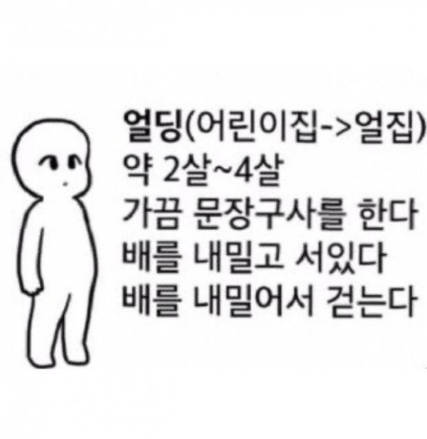 고양이들 가끔 이렇게 벌떡 일어나서 얼딩 자세로 멀뚱. 하게 있는 거 보면 웃김의 내용을 보여주는 이미지 관련 이미지 2