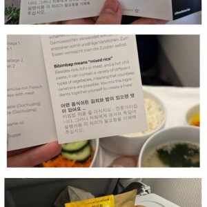 독일 항공사 : 한국인분들 양해 좀 부탁합니다ㅎ 
