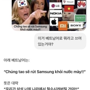 베트남 사람들이 자부심 느낀다는 짤