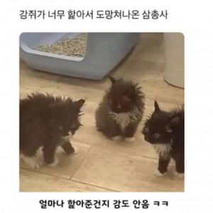 진짜 감도 안오네ㅋㅋ