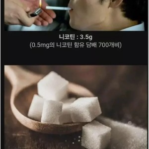 많이 먹으면 죽을수도 있다는 음식