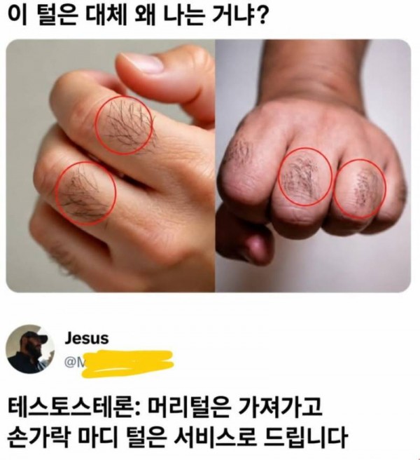 20260919221713_UG1m30xQBG.png