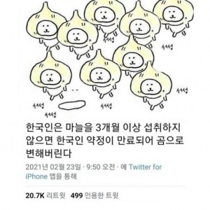 한국인은 마늘을 3개월 이상 섭취하지 않으면의 내용을 보여주는 이미지