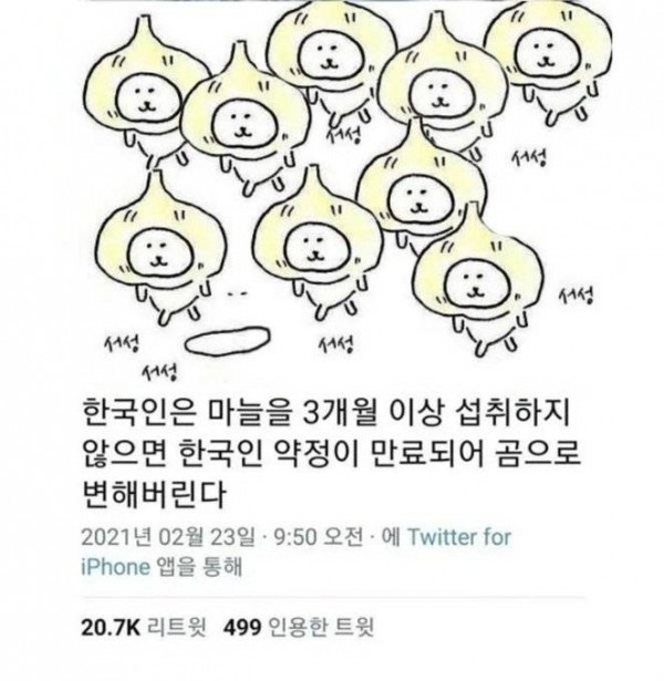 한국인은 마늘을 3개월 이상 섭취하지 않으면의 내용을 보여주는 이미지