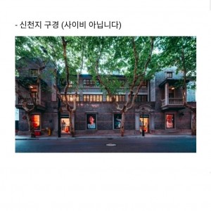 거의 동일 복붙 수준이라는 한국인들 상해 여행 루트