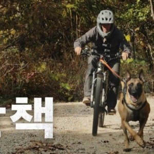개랑 산책이 처음인 사람
