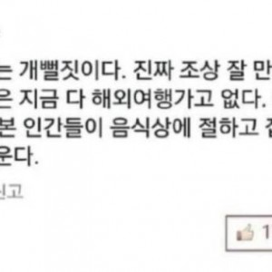 대한민국을 뒤흔든 전설의 댓글의 내용을 보여주는 이미지