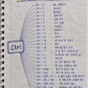 손이 빨라지는 Ctrl 근본 단축키 모음