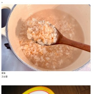 밥맛 & 식욕 없을 때 먹는 메뉴 甲