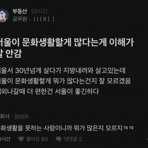 서울에 문화생활할 게 많다는 게 이해 안 되는 사람 