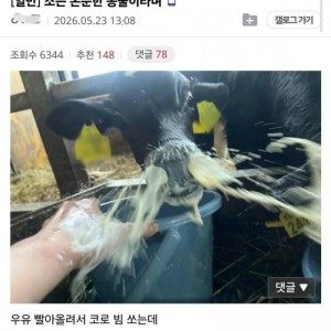 장사할 줄 아는 순대 푸드트럭 사장님