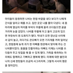 자폐를 치료중인 고양이 나비