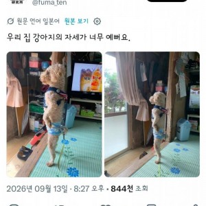 개