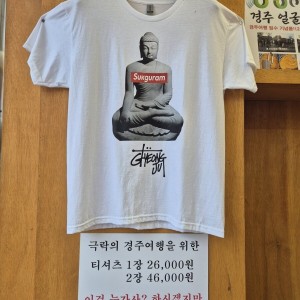 요즘 경주에서 핫한 1장에 26,000원 티셔츠