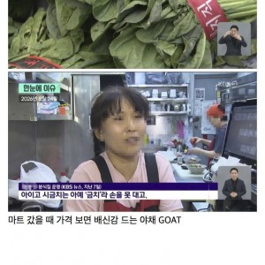 국민음식 김밥의 위기