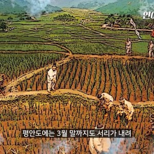 조선시대 경신 대기근으로 인해 발생했던 끔찍했던 지옥도 