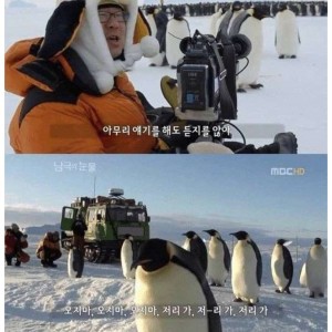 신기한 동물 지식 10가지.