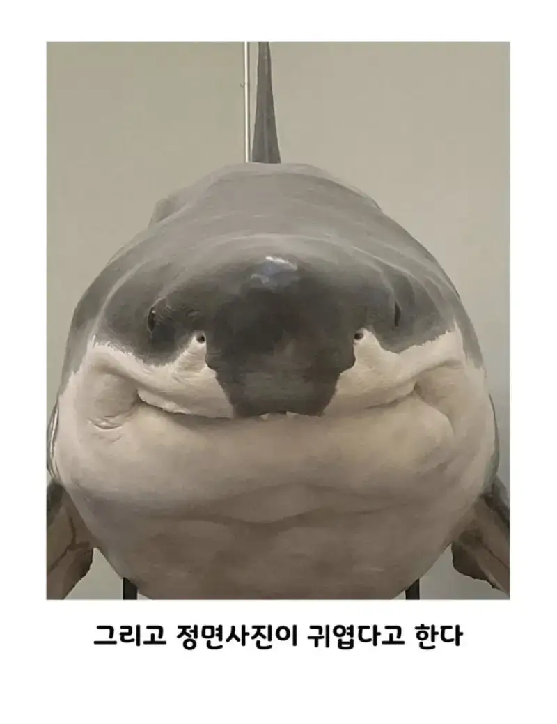 20261029003429_QWIkxECi3a.png