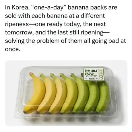 해외에서 화제가 된 한국 바나나