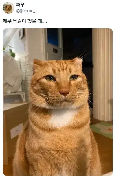 6msmFKbZn2mKiqasKgYC6I.png