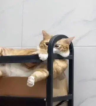 진짜 편해보인다