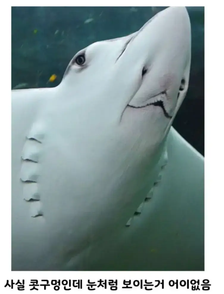 20261026234736_kgreeMNV6L.png