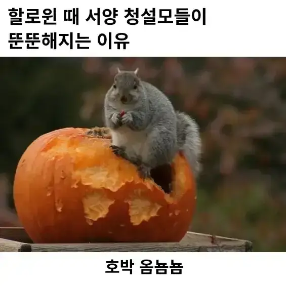 20261020213434_UrNwrTEXFw.webp