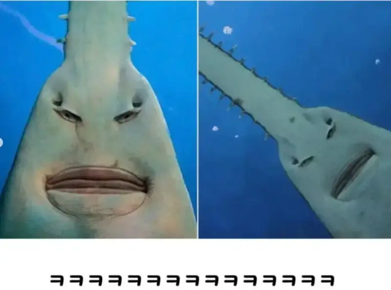 20261026234736_ocTWqhZaYv.png