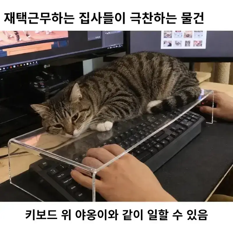 20261020213432_S0klIdHzdJ.webp