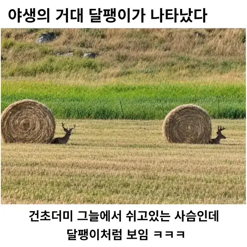 20261020213433_nVyiCH98HX.webp