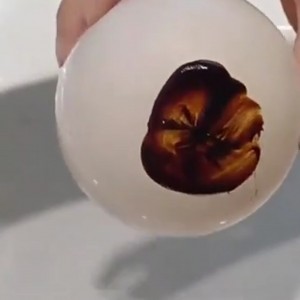 parsingsite video thumbnail