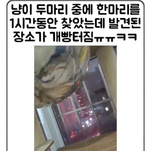 parsingsite video thumbnail