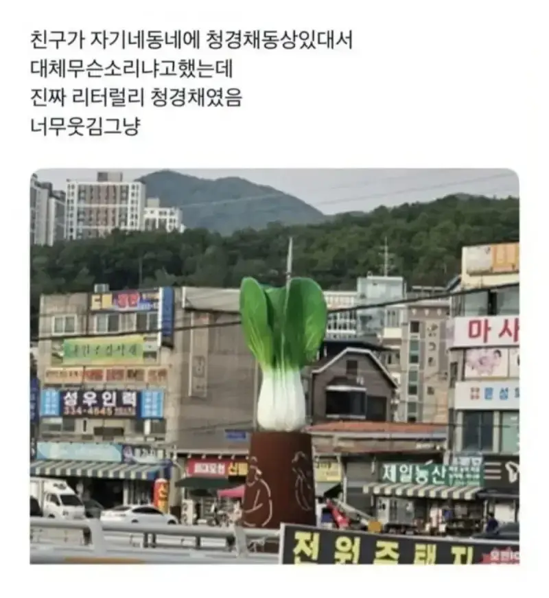 20260919220010_giniuaVxCa.webp