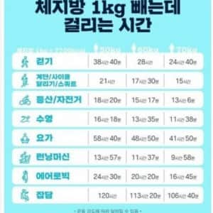 체지방 1kg 빼는데 걸리는 시간