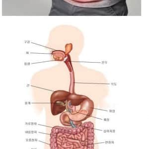 30대부터 급격히 맛이 가버리는 기관