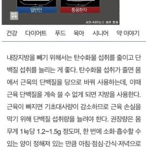 내장 지방이 만성염증의 원인인 이유
