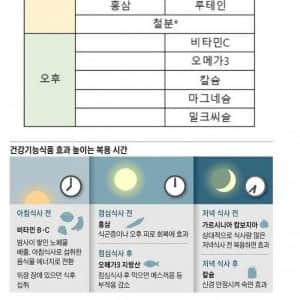 연령대별 영양제 등 꿀팁 모음