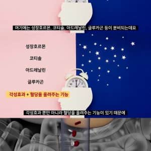 요새 사람들이 아침 안먹는 이유