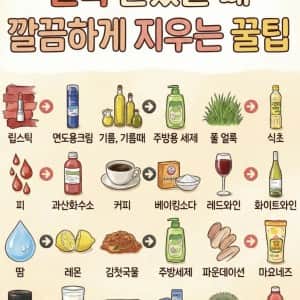얼룩 묻었을때 깔끔하게 지우는 꿀팁