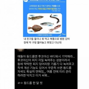 여름 싫은사람 모여랏 | 인스티즈