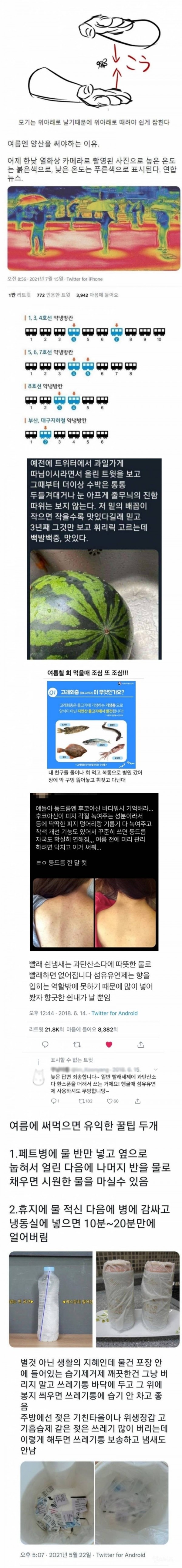 여름 싫은사람 모여랏 | 인스티즈