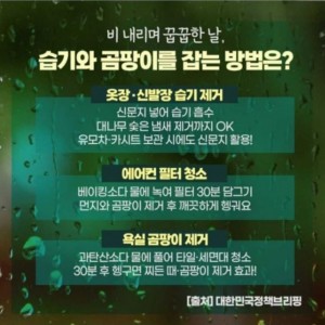 습기와 곰팡이를 잡는 방법 | 인스티즈